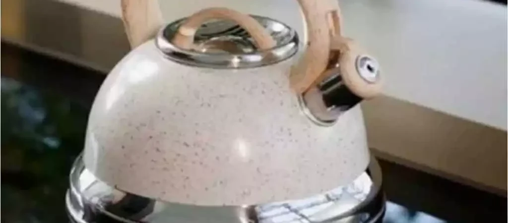 Chaleira De Apito 2.7 Litros Com Indução – Brinox