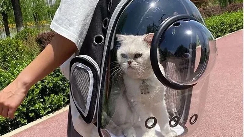 Mochila Pet Visão Panorâmica Astronauta. Cachorro, Gato.
