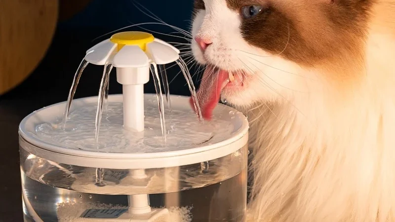Bebedouro Elétrico USB Circulação Automática. Para Pet, Gato, Cão. Animais De Estimação